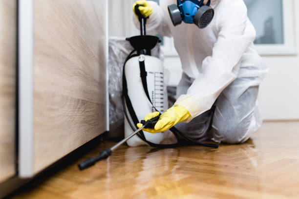 Best Flea Control Services  in Ainsworth, NE