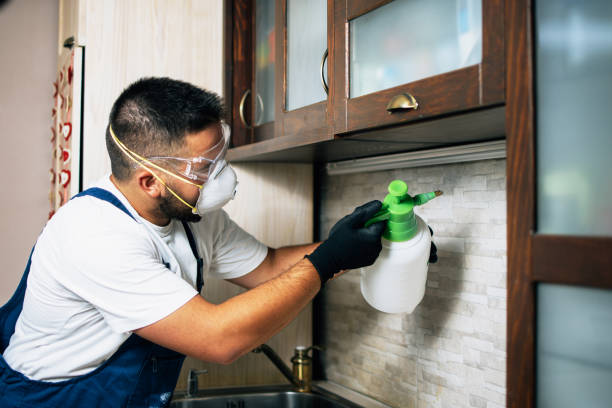 Reliable Ainsworth, NE Pest Control Solutions
