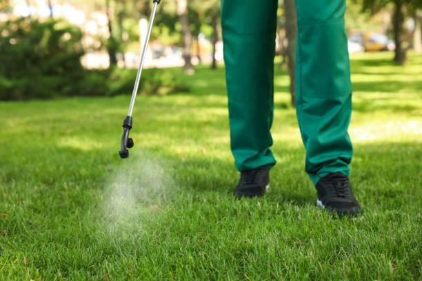 Best Pest Inspection Near Me  in Ainsworth, NE