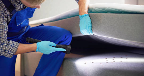 Best Pest Inspection Near Me  in Ainsworth, NE