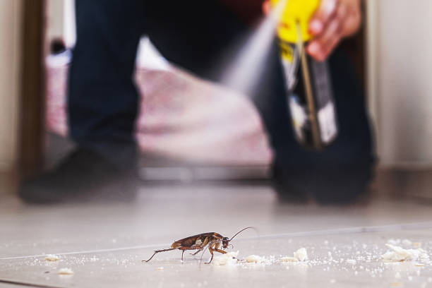 Best Affordable Pest Control Services  in Ainsworth, NE