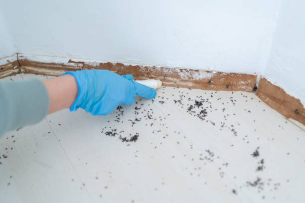 Best Affordable Pest Control Services  in Ainsworth, NE