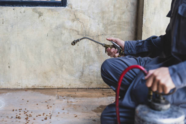 Best Local Pest Control Services  in Ainsworth, NE