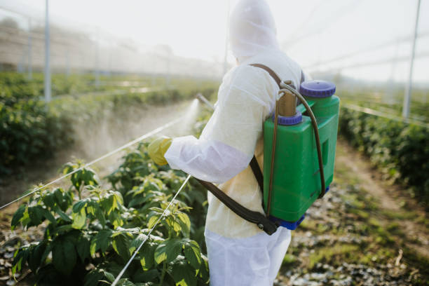 Best Residential Pest Control  in Ainsworth, NE
